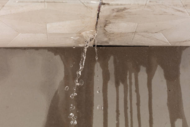 Professional Sewage Cleanup technician working in Williamstown, OH